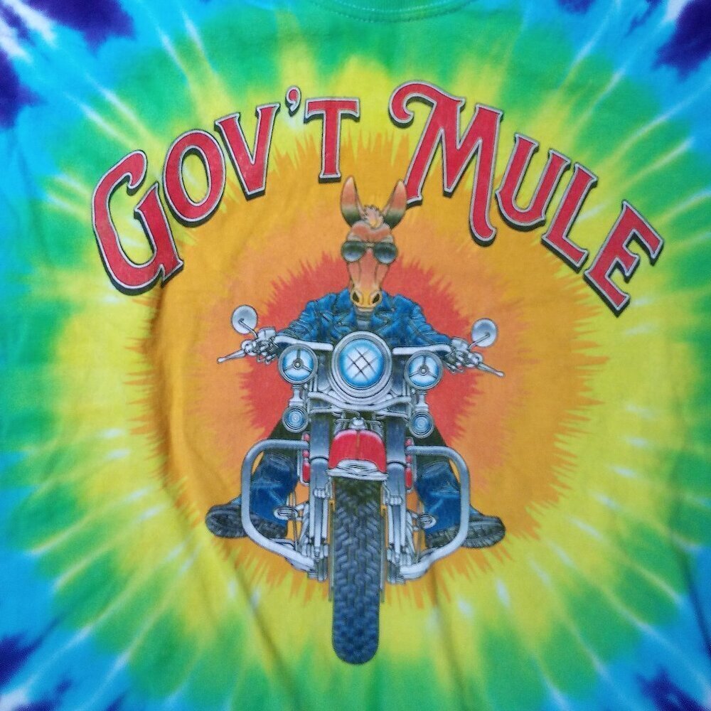 Government Mule Summer Tour 2018 Tie Dye T-Shirt